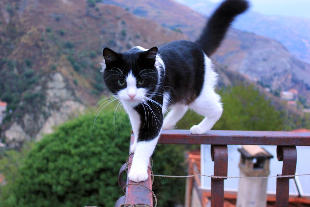 Almoezia Charming Bed & Breakfast Taormina